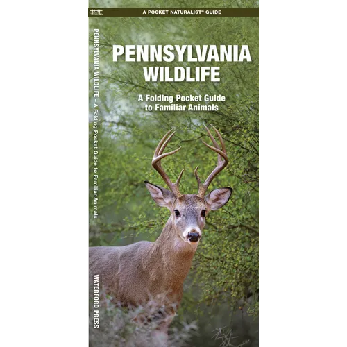 Pennsylvania Wildlife: A Folding Pocket Guide to Familiar Animals