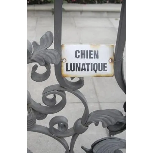 Chien Lunatique: Poems