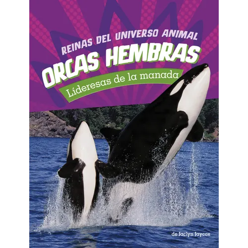 Orcas Hembras: Lideresas de la Manada (Orca Cows: Leaders of the Pod)