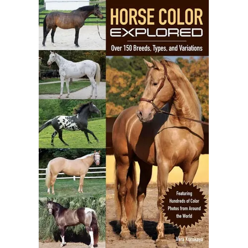 Horse Color Explored: Over 150 Breeds, Types, and Variations