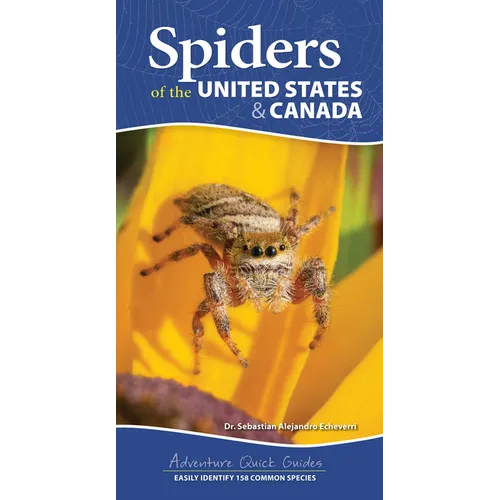Spiders of the United States & Canada: Easily Identify 158 Common Species