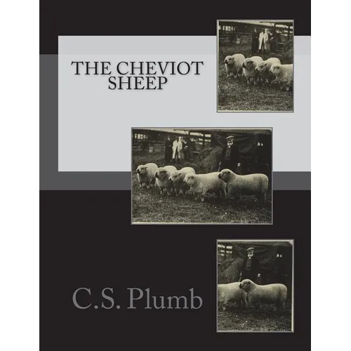 The Cheviot Sheep