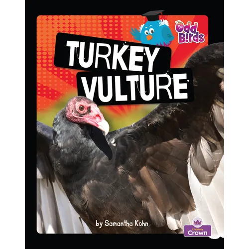 Turkey Vulture