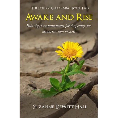 Awake and Rise: Bite-sized examinations for deepening the deconstruction process