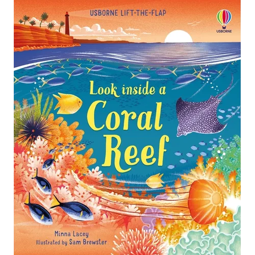 Look Inside a Coral Reef