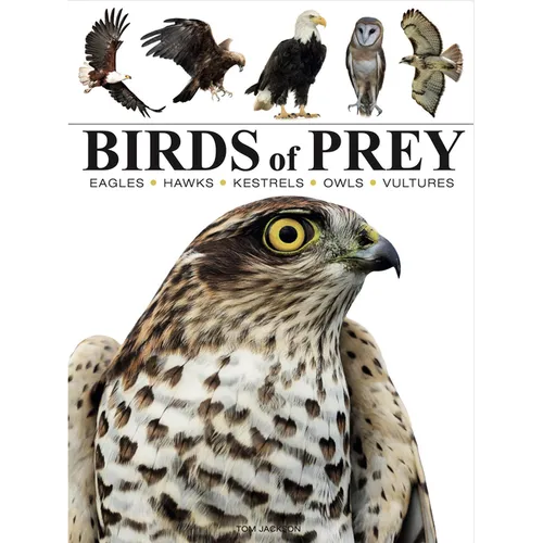 Birds of Prey: Stunning Photographs of the World's Great Hunting Birds