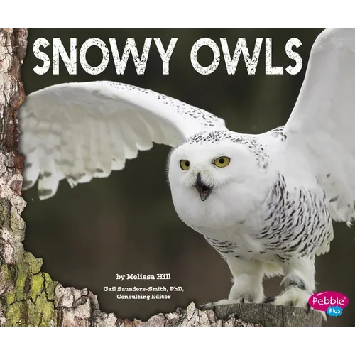 Snowy Owls
