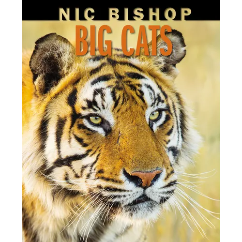 Nic Bishop Big Cats