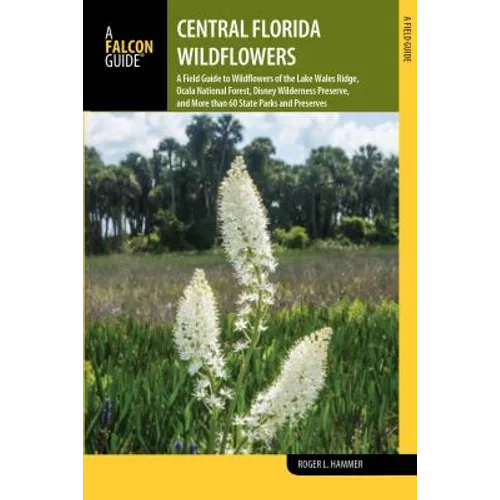 Central Florida Wildflowers