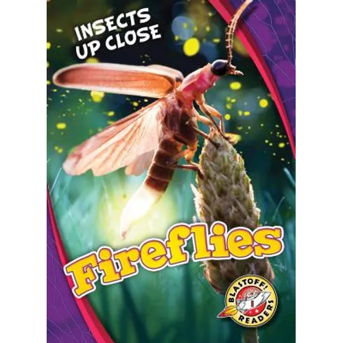 Fireflies