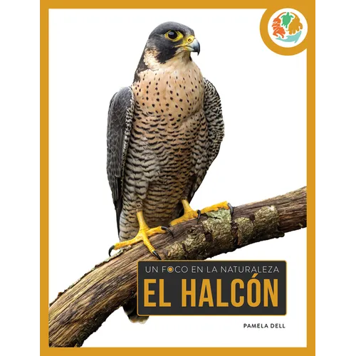 El Halcón: Spanish Edition