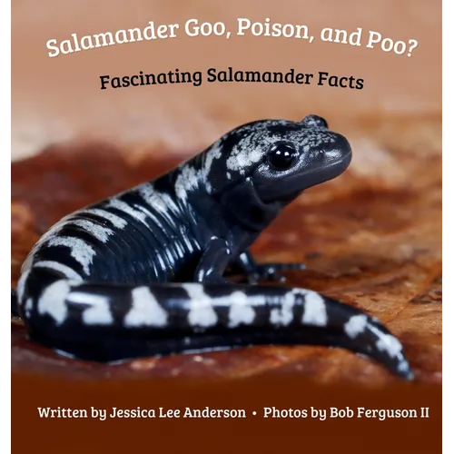 Salamander Goo, Poison, and Poo? Fascinating Salamander Facts