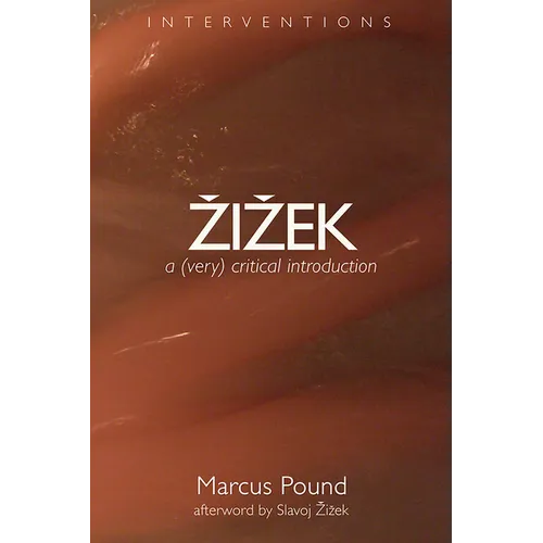Zizek: A (Very) Critical Introduction