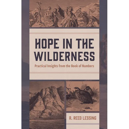 Hope in the Wilderness