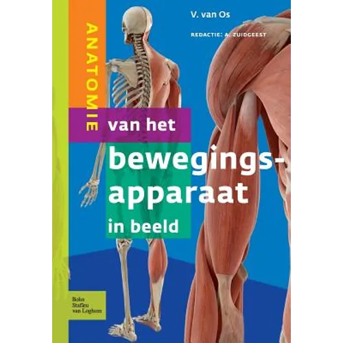 Anatomie Van Het Bewegingsapparaat in Beeld