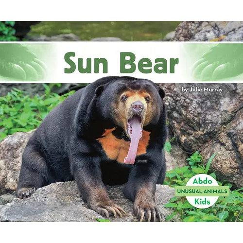 Sun Bear