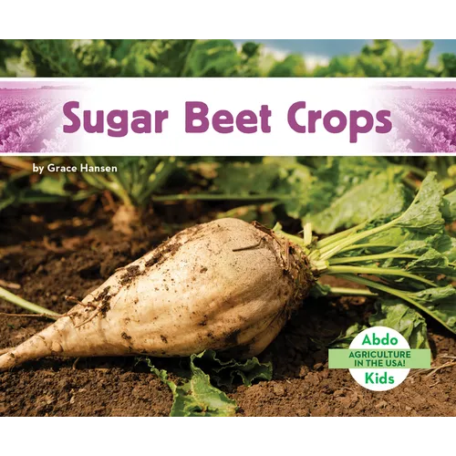 Sugar Beet Crops