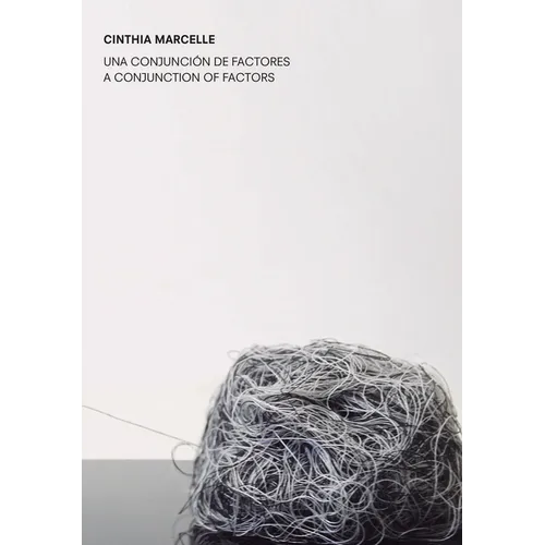Cinthia Marcelle: A Conjunction of Factors