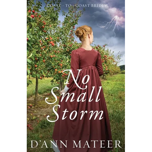 No Small Storm