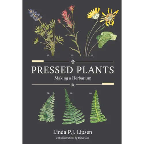 Pressed Plants: Making a Herbarium