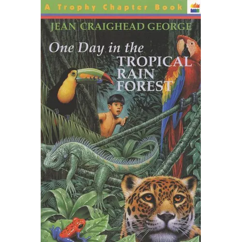 One Day in the Tropical Rain Forest