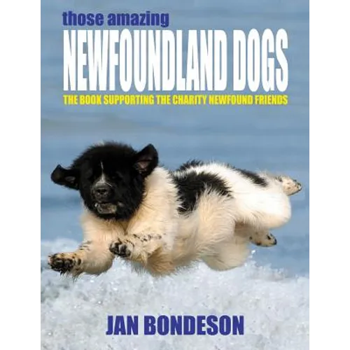 Those Amazing Newfoundland Dogs