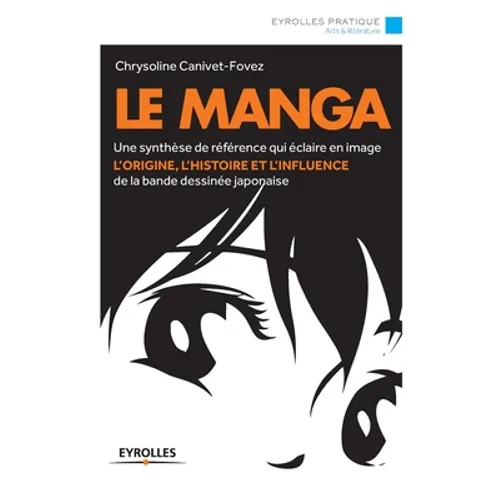 Le Manga: Une synthèse de référence qui éclaire en image