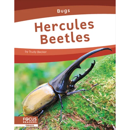 Hercules Beetles