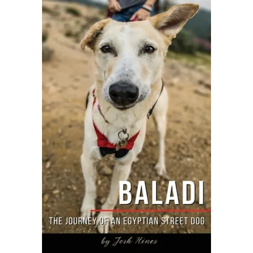 Baladi: The Journey of an Egyptian Street Dog