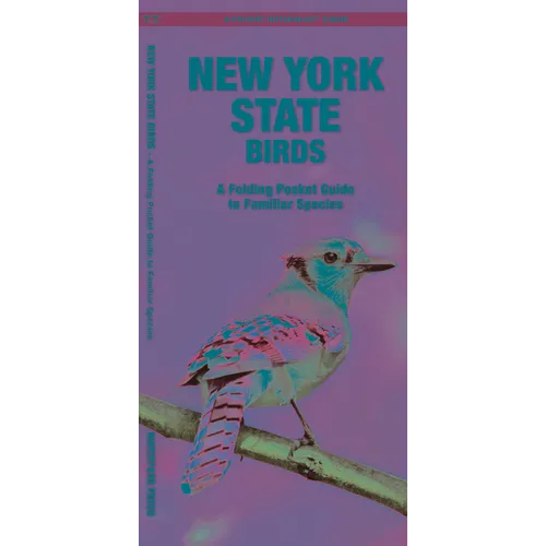 New York State Birds: A Folding Pocket Guide to Familiar Species