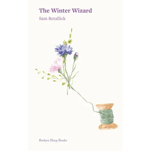 The Winter Wizard