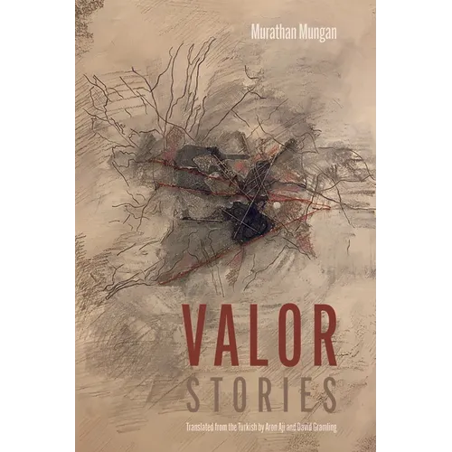 Valor: Stories