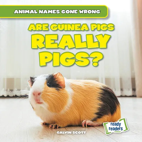 Are Guinea Pigs Really Pigs?