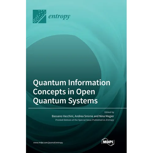 Quantum Information Concepts in Open Quantum Systems