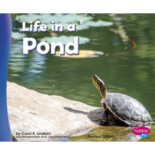 Life in a Pond