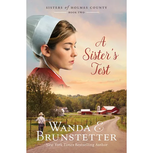 A Sister's Test: Volume 2