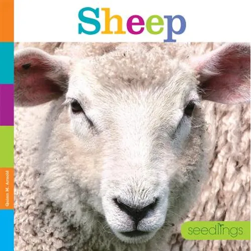 Seedlings: Sheep