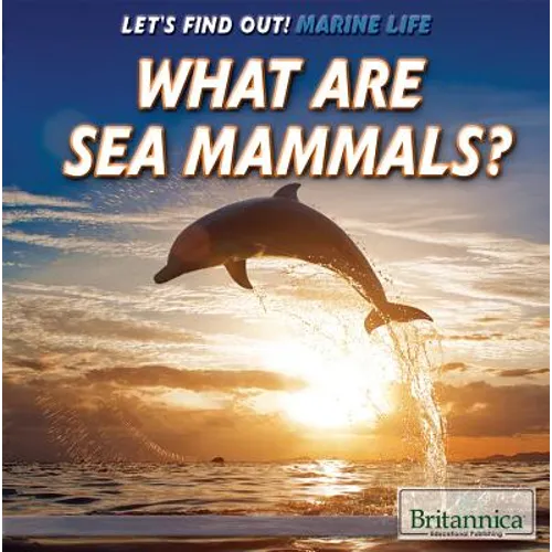 What Are Sea Mammals?