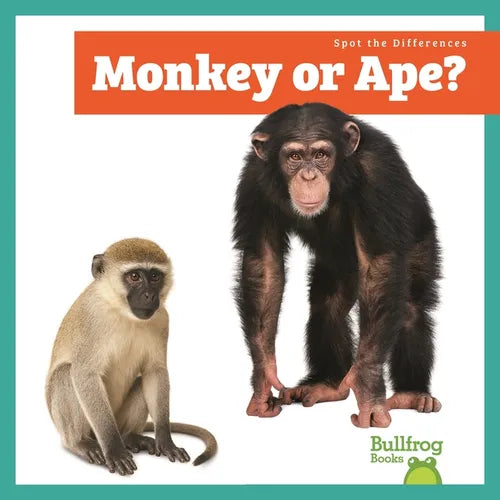 Monkey or Ape?