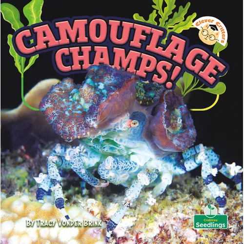 Camouflage Champs!