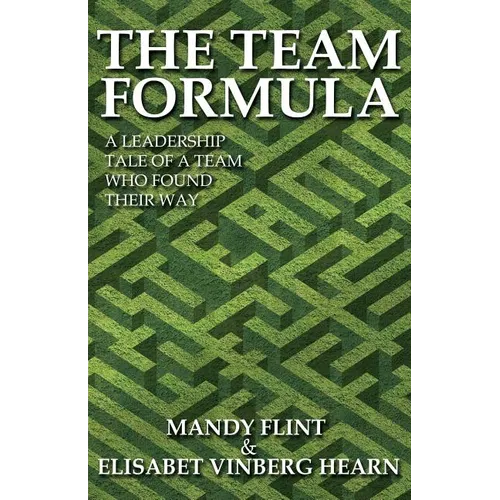 The Team Formula - A Leadership Tale of a Team Who Found Their Way