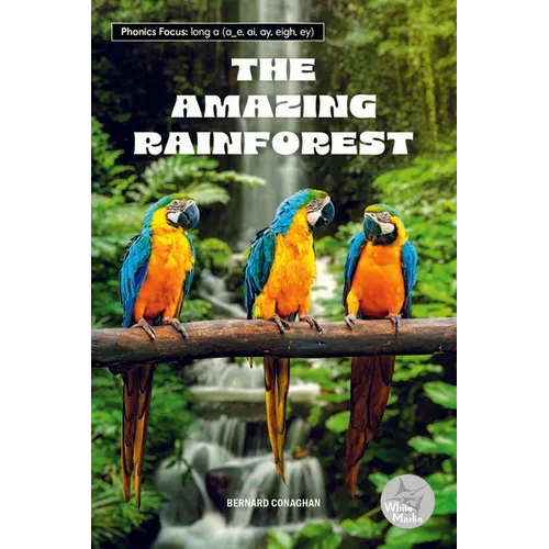 The Amazing Rainforest