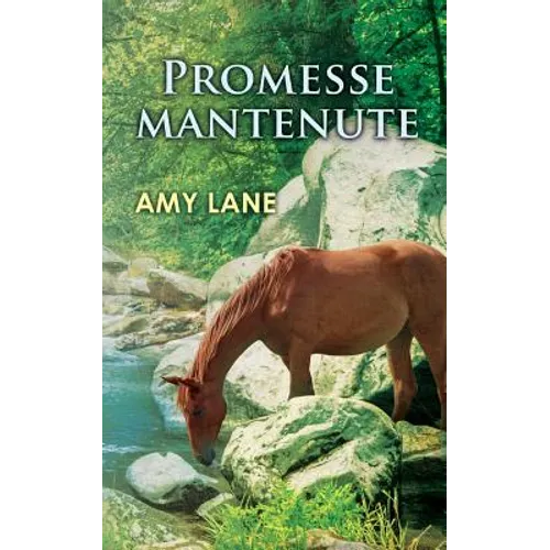 Promesse Mantenute