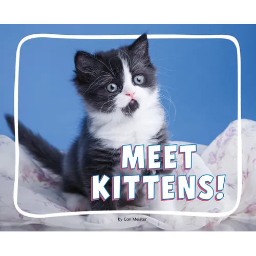 Meet Kittens!