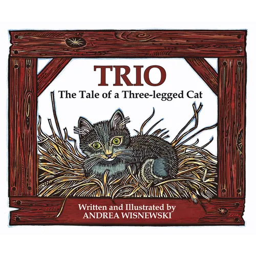 Trio: The Tale of a Three-Legged Cat