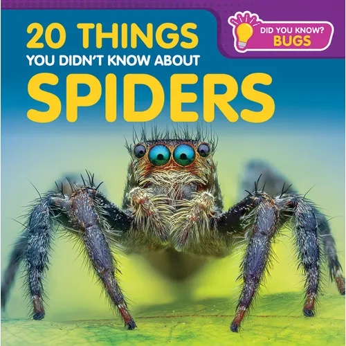 20 Things You Didn't Know about Spiders