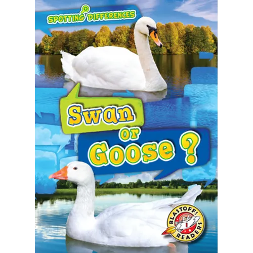 Swan or Goose?