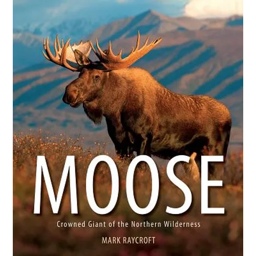 Moose: Crowned Giant of the Northern Wilderness