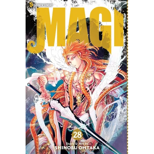 Magi: The Labyrinth of Magic, Vol. 28