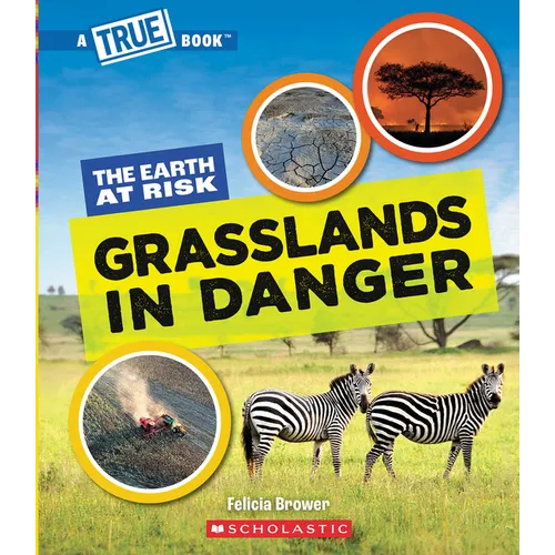 Grasslands in Danger (a True Book: The Earth at Risk)